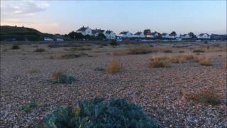 TTBebop vs Molly I Parrot Bebop 2 (Kosheen - Face in a crowd)