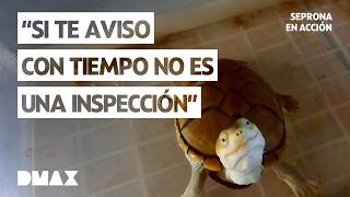 Thumbnail del capítulo