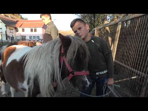 Poneii lui Calinut de la Vidra, Alba - 2019 Nou!!!