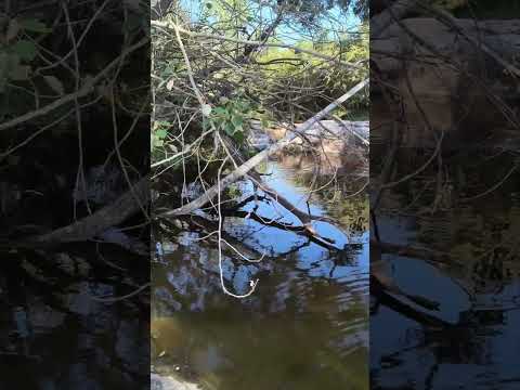 Miren este lugar... Casa grande Cordoba