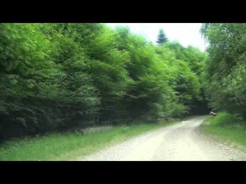 Dangesti - Cabana Cozia (repede inainte)