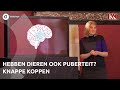 Hebben dieren ook puberteit? | Knappe Koppen | #5