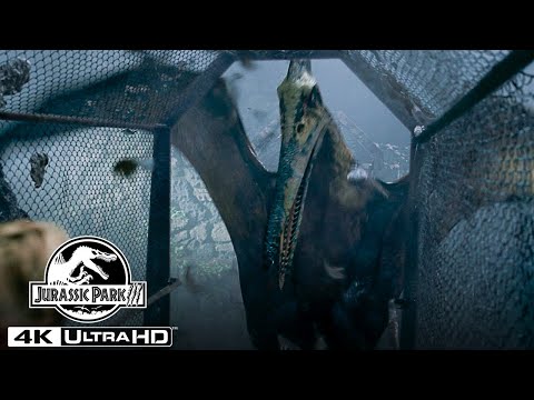 Thumbnail of the video: The Pteranodon Aviary Attack in 4K HDR