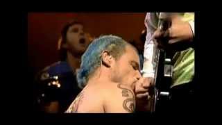 red hot chili peppers cabron sep 29 2002 mexico [rare]