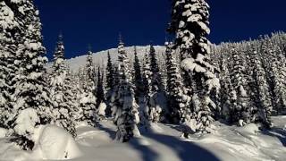 Heliskiing at Mike Wiegele with Jack Shawde - December 10-17, 2016