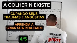 RC 337 A COLHER N EXISTE  APRENDA A RESSIGNIFICAR A REALIDADE, curando traumas