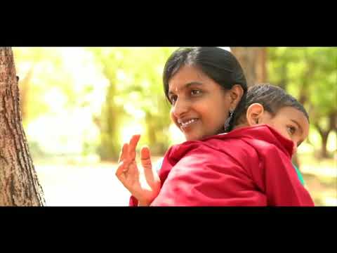 Shreetej prebirthday shoot /cake smash/##1st birthday