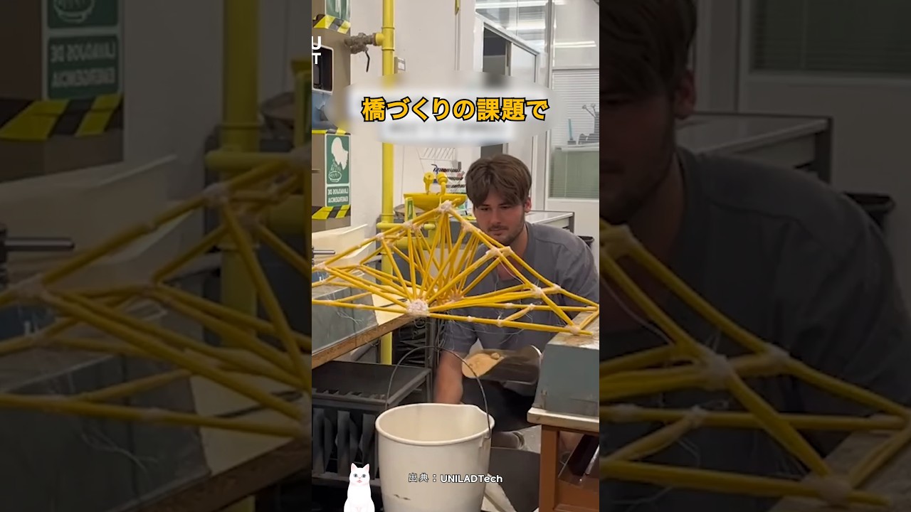 一人だけA+を取った橋の正体