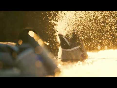 Pulsator PRO Swimmer PRO Drake / Drake Combo Pack