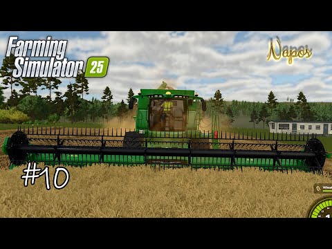 Sowing oats & first harvest for our big combine 💪🏻 | FS 25 Survival Challenge New Frontier - Ep 10