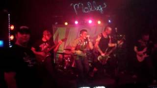 break the mold live at molly malones