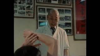 Download lagu Grandmaster Chan Hon-chung 陳漢宗 Teaching 'Plum Blossom Set'  (Mui Fa Kyun 梅花拳) mp3