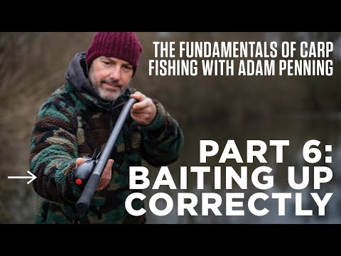 'Hitting The Spot' (Rigs and Baiting) | The Fundamentals of Carp Fishing with Adam Penning