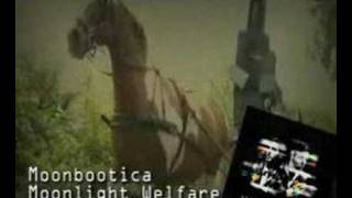 Moonbootica - Moonlight Welfare