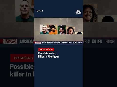 Possible serial killer in Michigan