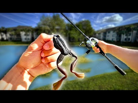 24h Frosch Angelköder Challenge💥👀