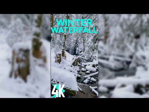 Sound Therapy of Winter Forest Stream - 4K Vertical Screensaver with Nature Sound - Coal Creek Falls