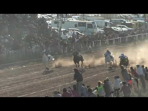 FANTASTICA REINA  Club Hipico "Viento Sur"  -  Cutral Co -  11-12-2022