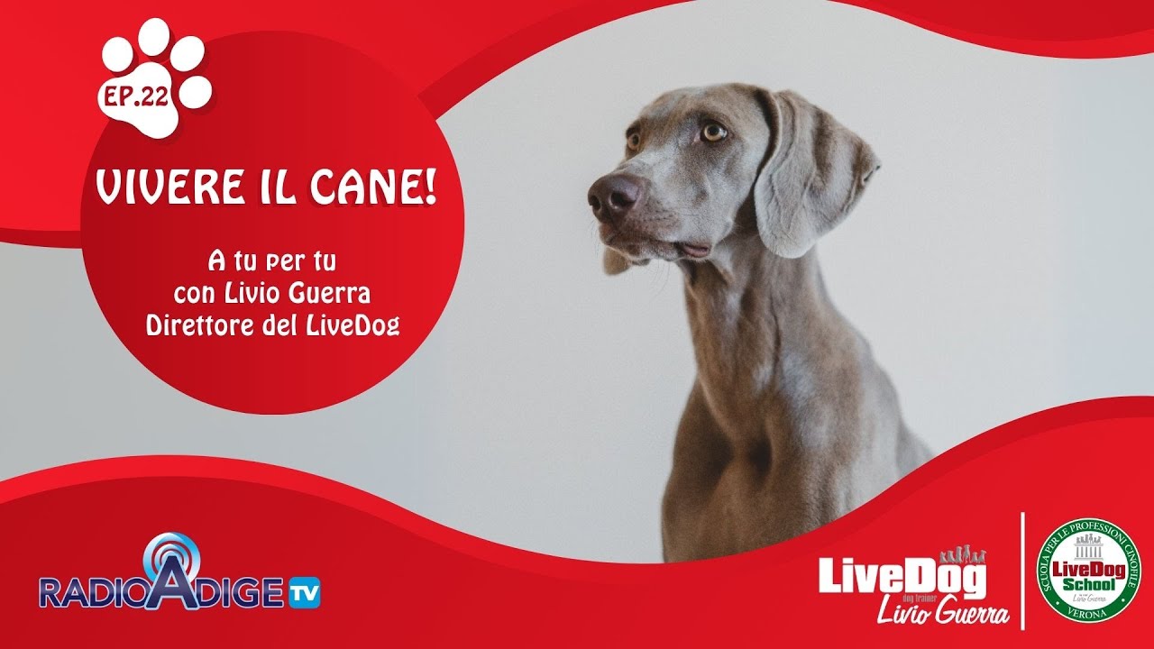 Descrizione dell'immagine