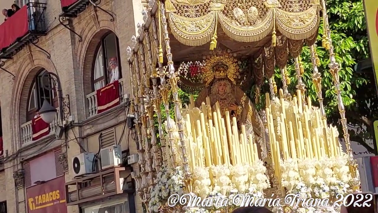 Nuestra Señora de los Ángeles ( Hdad de los Negritos) 2022