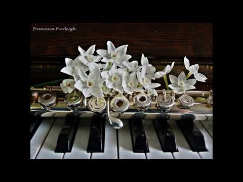 🎼 Smooth Jazz Flute 🎵 Instrumental Background Music Video 🎬