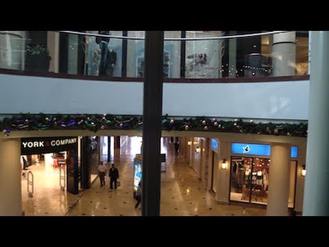 Chewbacca Lives! Obnoxious Dover Scenic Hydraulic Elevator Roosevelt Field Mall, Garden City, NY