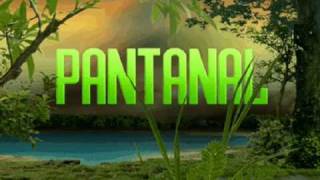 Charles Colt - Pantanal - Swamp - Pantano