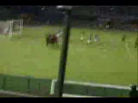 Celebrando el gol de Valencia (Caracas - Cruzeiro).