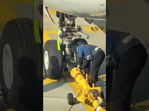 Monica Toy | Imitoys #shorts