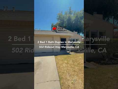 0343 - Video 2 of 2