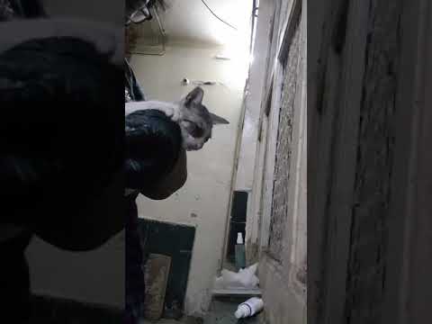 Just Smile Charitable Trust  onstreet Medication videos(6)