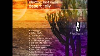 electric bird noise - 10.the theme from impatiently yours