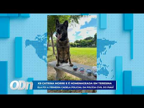 O Dia TV