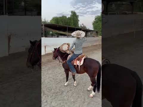 SADDLE CAUGHT ON FIRE🙀🙀!!!! #charrería #tiktok #caballos #charros #piales #trending