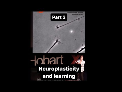 Pt 2: NEUROPLASTICITY & LEARNING - 6 secrets to learning faster, backed by neuroscience