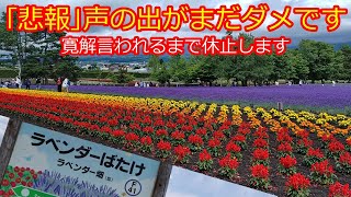 【動画は暫く休みます】声が完治するまではすみません吹き込みできません