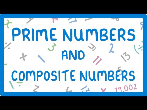 What are Prime Numbers and Composite Numbers?