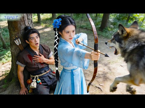 CEO dikepung serigala saat berburu—gadis berani tembak panah, selamatkan dia! CEO jatuh cinta!