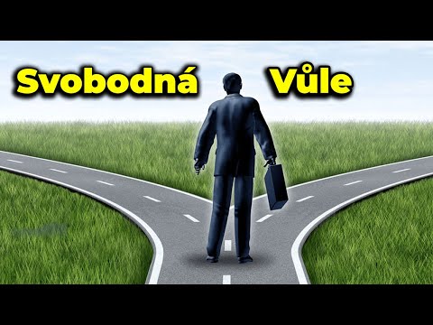 EXISTUJE SVOBODNÁ VŮLE? (spoiler: neexistuje)