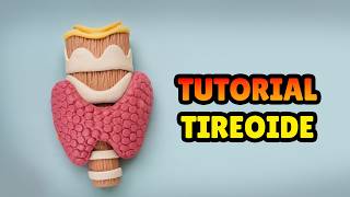 🔴 FAÇA uma TIREOIDE - Modelo Anatômico - Tutorial Biscuit, Pasta Americana, Clay ou Plastilina - DIY