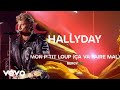Johnny Hallyday - Mon p'tit loup (ça va faire mal) (Live Officiel Bercy 90)
