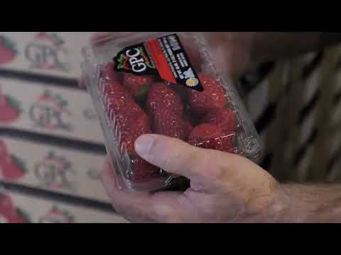 FFVA Annual Report 2022