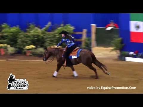 Magnamus ridden by Hannah Mitchell  - 2015 NRBC (NP Finals - Sec. 1)