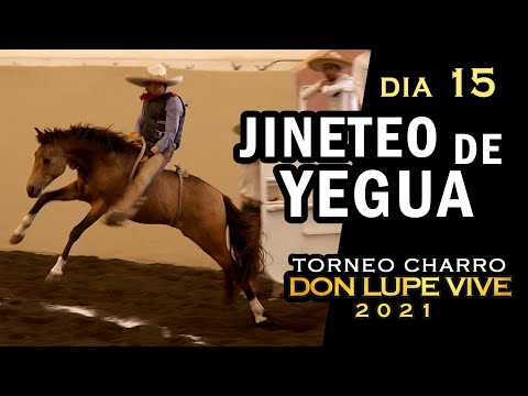 MARE RIDING day 15 - Don Lupe Vive Tournament 2021