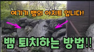 뱀 퇴치하는 방법! 이것보다 좋은 방법은 이 세상 어디에도 없습니다!  #전원주택뱀퇴치하는방법 #뱀천적휘발유…