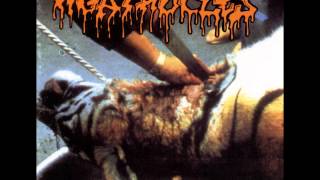 Agathocles - Fear Not (HQ)