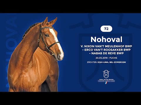 Verbandshengste 2022 - Nohoval v. Nixon-Erco van't Roosakker