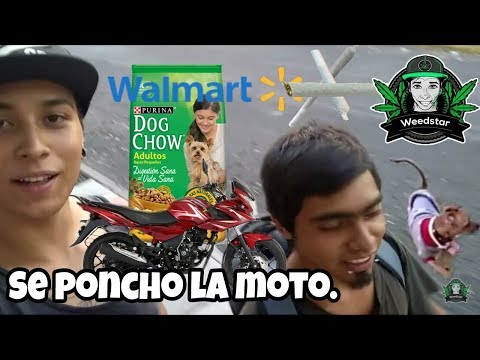 Fumando con el Efra y conectando (+18) Cogollos & prensado + CobyStar