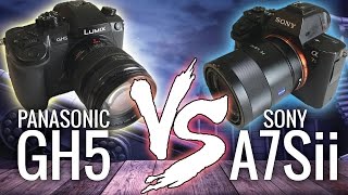 Panasonic GH5 vs. Sony A7s ii Review