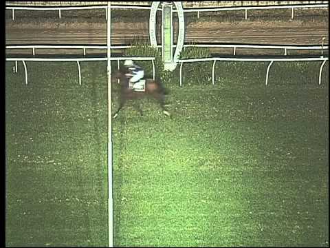 Galoppo 15/07/2015 - 7° corsa